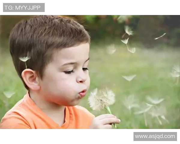 维拉足球球星的成长历程与辉煌成就全面解读